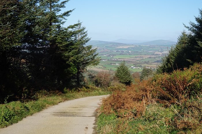 Wicklow Hills in the distance Askamore 