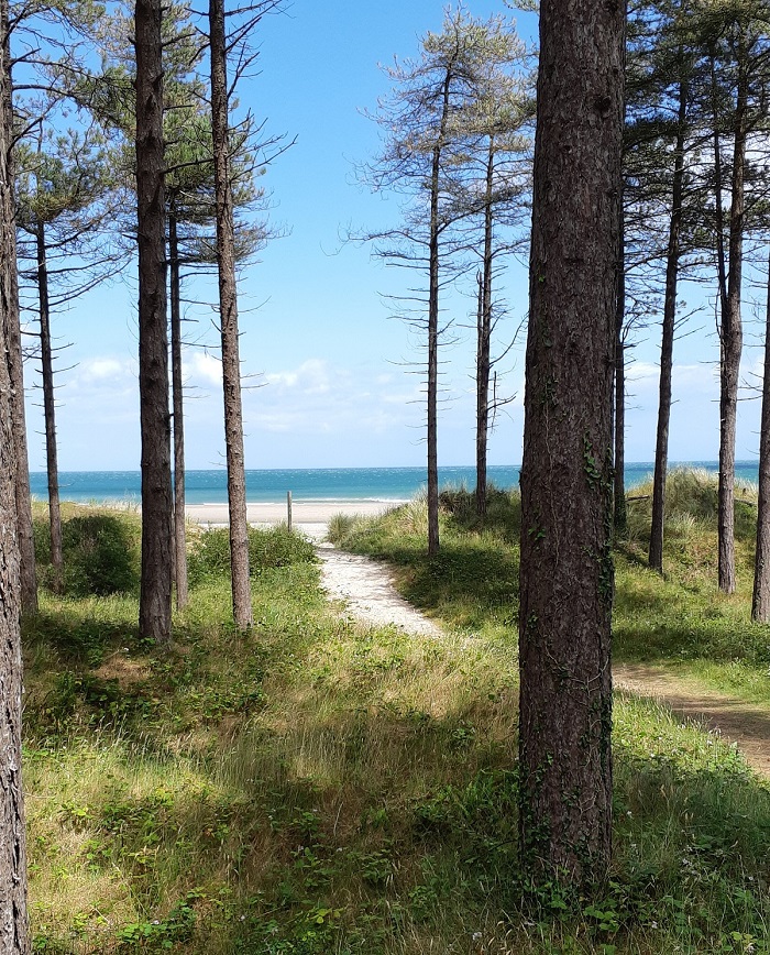 Curracloe Beach and Raven Nature Reserve