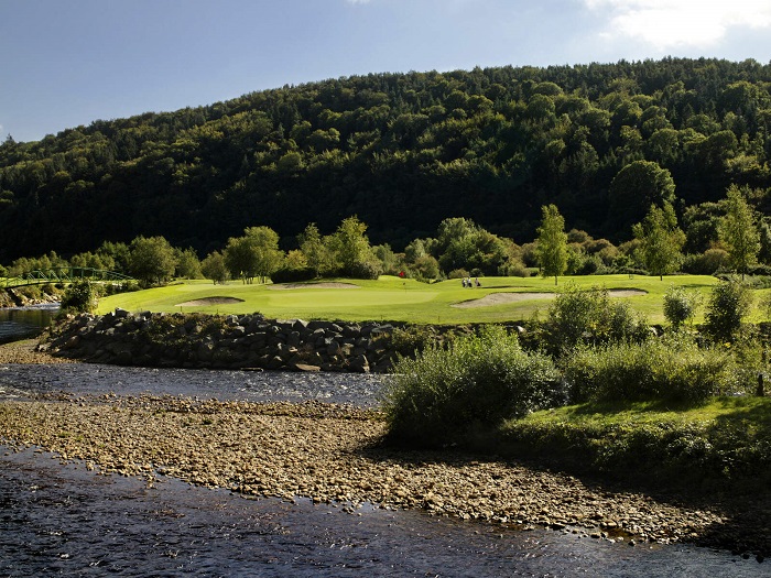 Trees in the background of Woodenbridge Golf Club