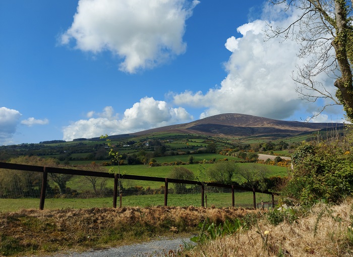 View of the Blackstairs mountain from Kiltealy walking trail