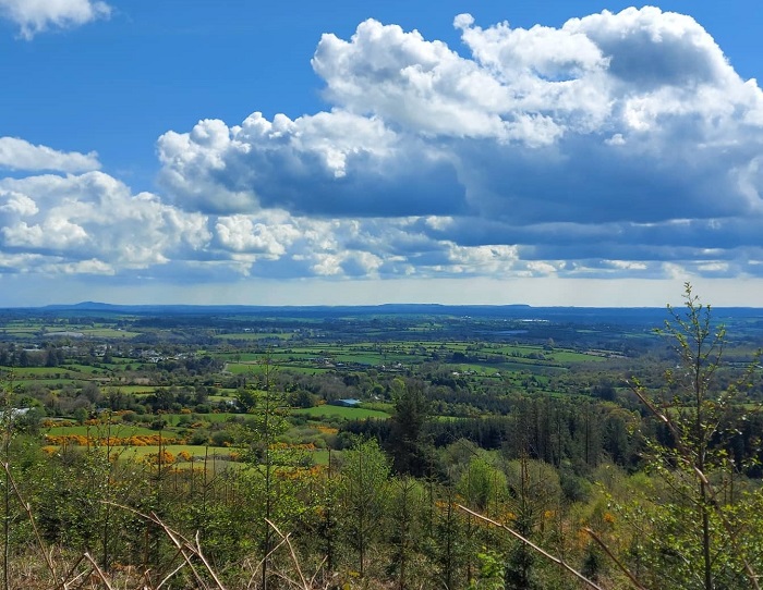 Views of County Wexford on Cullentra Trail, Kiltealy