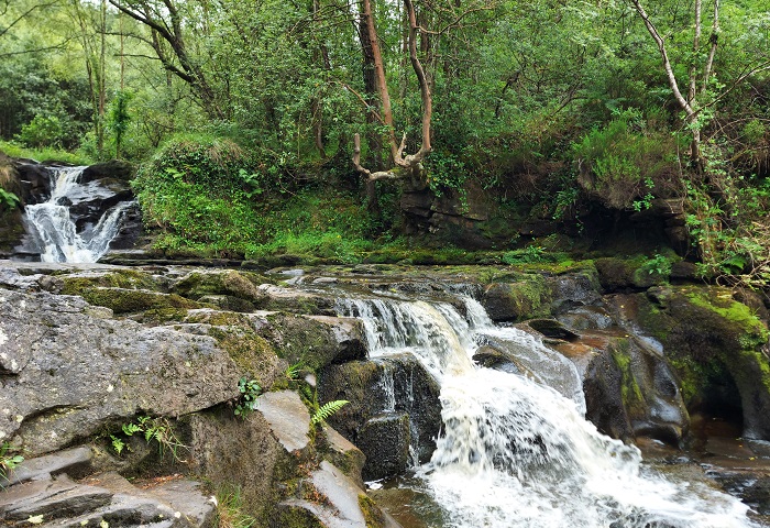 Glenbarrow Waterfall, Deirdre O'Flynn, a mindful walker